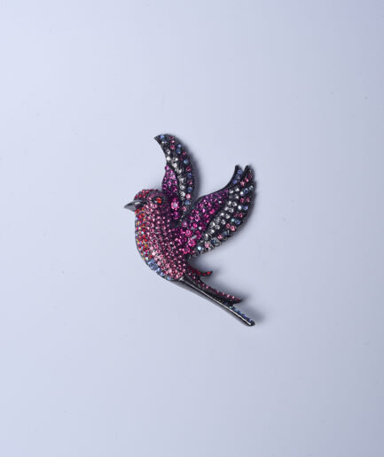 Spilla bird